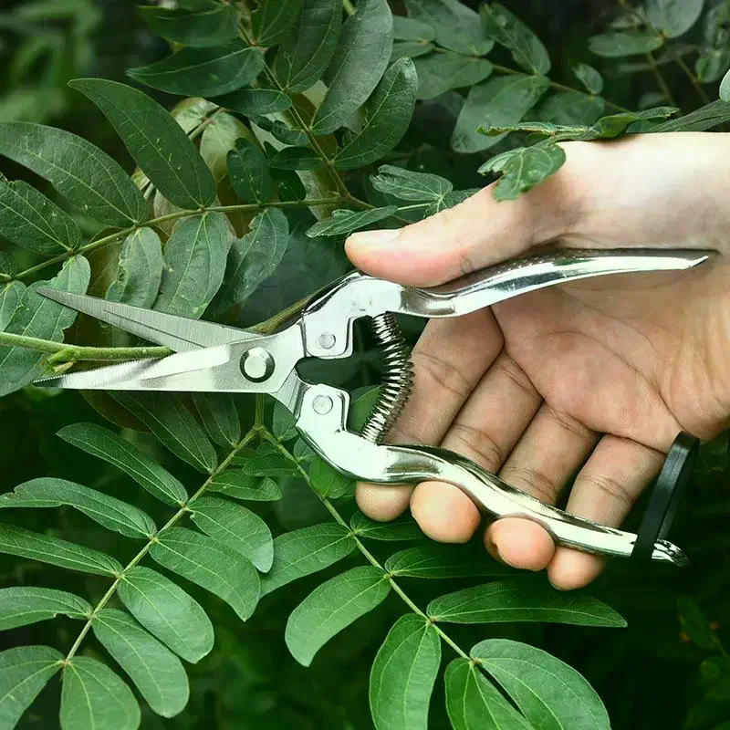 Stainless Steel Pruning Shears Sharp Precision Blades Non Slip Handles Sharp & Durable For Garden Trimming Branches Fruit