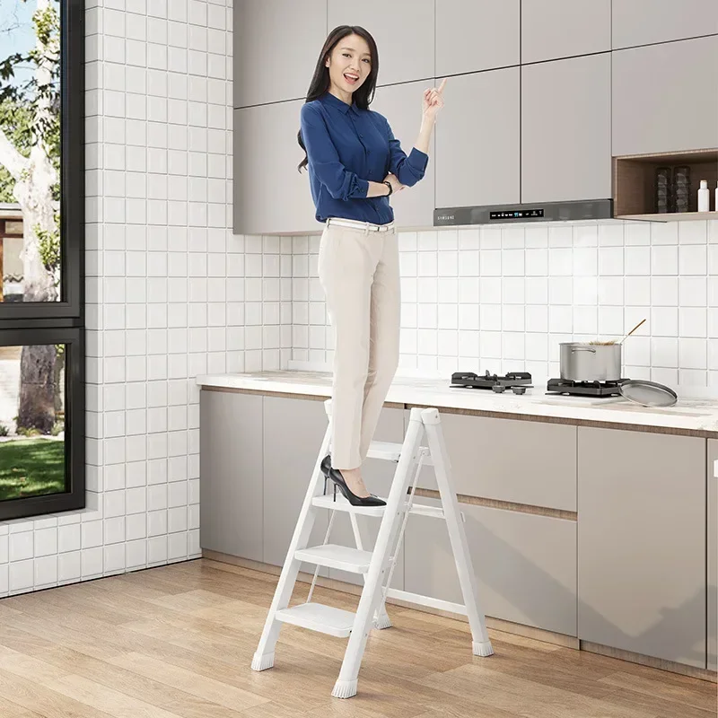 Рисунок 4 - Бытовая лестница