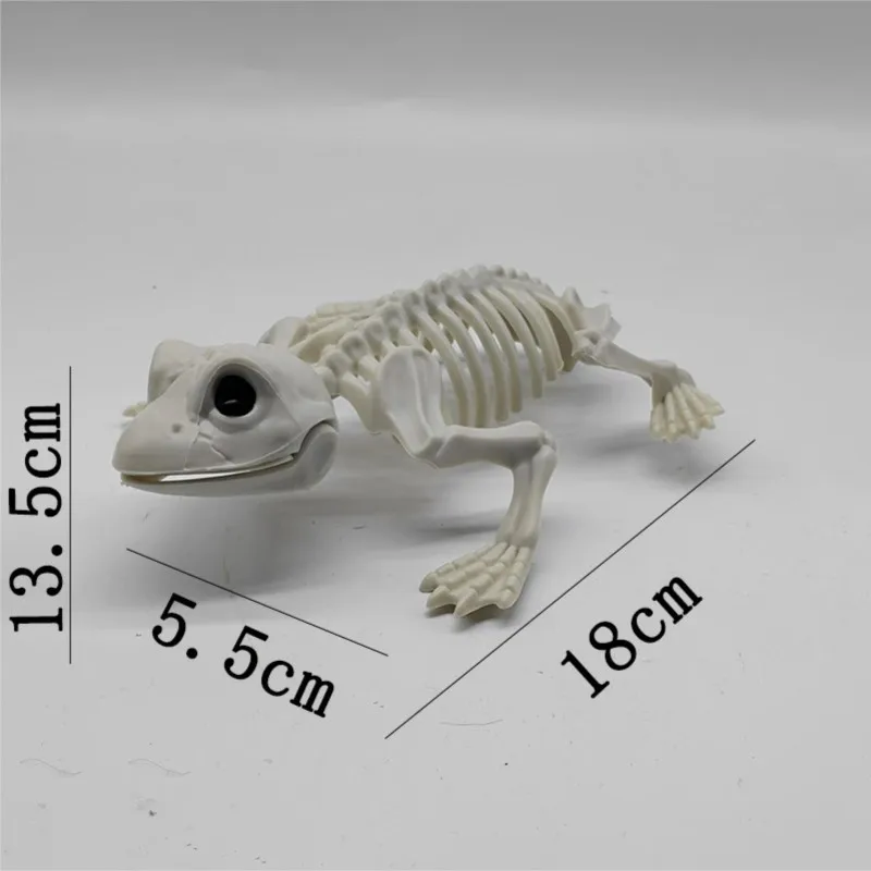 جديد تجهيزات حفلة الهالوين الضفدع الهيكل العظمي الدعائم زينة محاكاة ساخرة الضفدع الهيكل العظمي نماذج للحيوانات اكسسوارات سطح المكتب الحلي