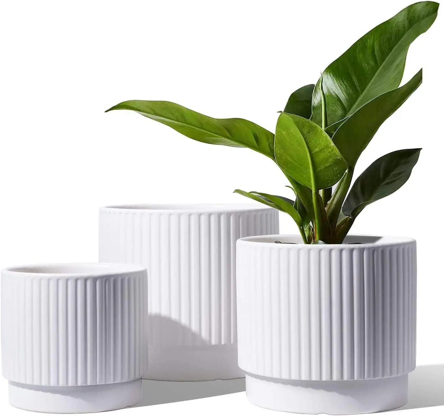 

Ceramic Plant Pots Set of 3, 8+6.7+5.5 Inch Indoor Flower Pots with Drainage Holes, White Cylinder Planters for House Plants