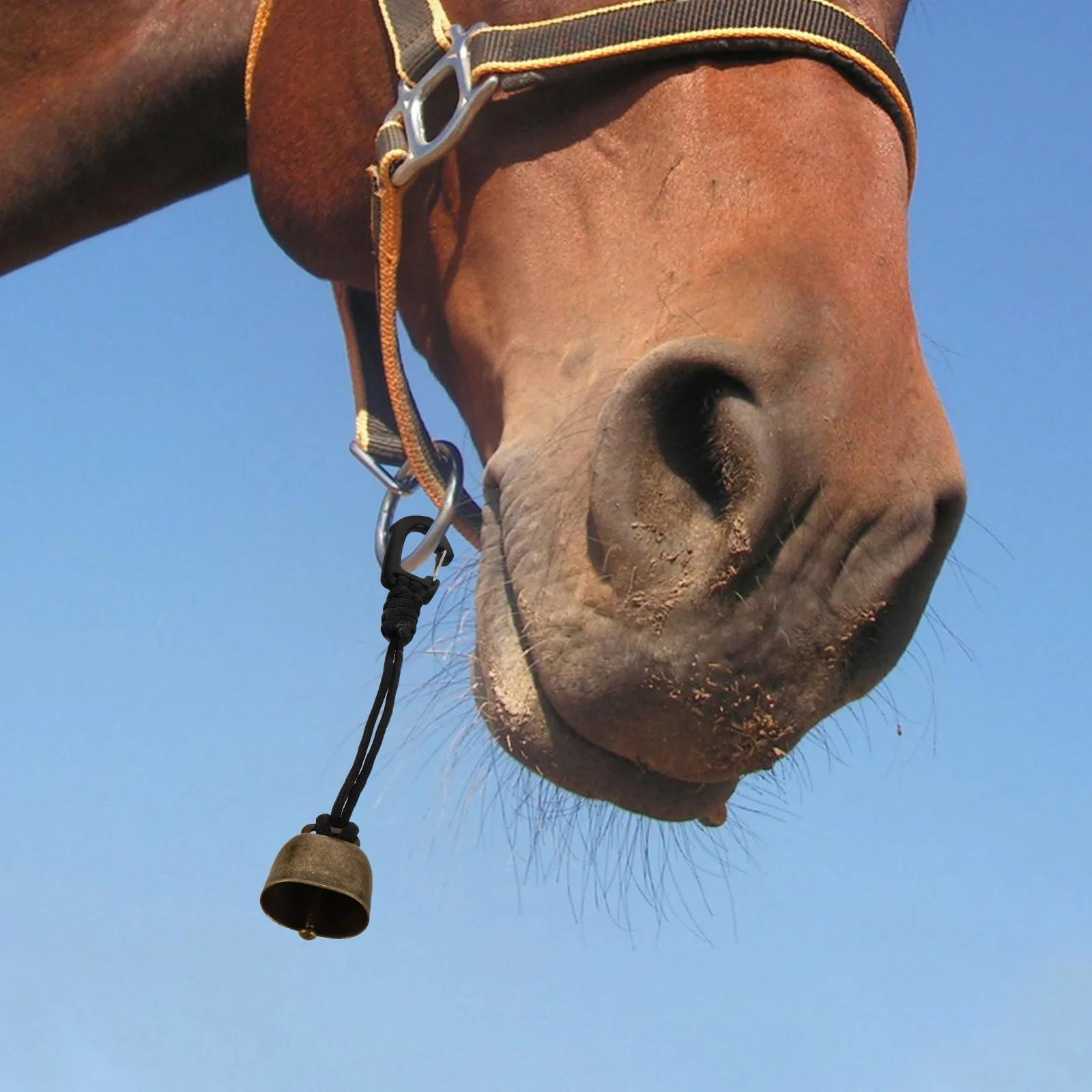 

Bear Bell Metal Loud Emergency Camping Hiking Biking Fishing Survival Outdoor Protection Wildlife Warning Bell