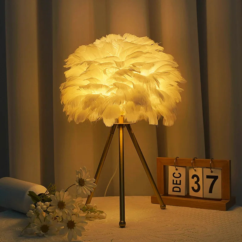 

Nordic Decorative Feather Desk Lamp Bedroom Bedside Lamp Suitable for Living Room Bedroom Bedside Table Ins Feather Lamp