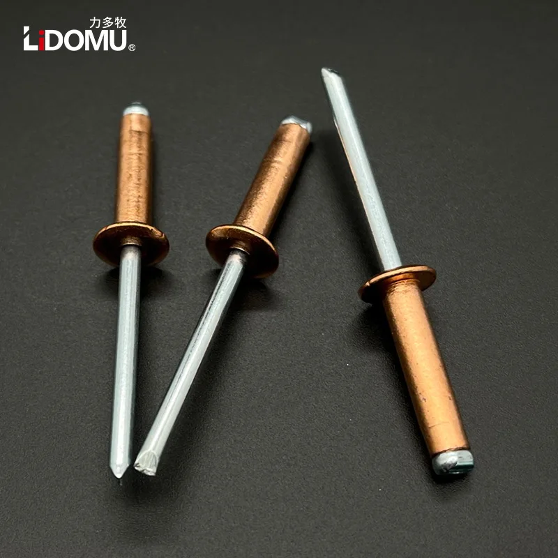 Open Type Copper Blind Rivet, Dome Head, Antiestático Bronze Latão Rebites, 30 Pcs, 50Pcs