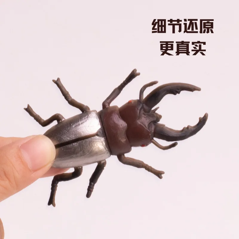 Simulation Beetle Series Animal Toys Realistic Cognitive Learning Models Floating Beetle Toy 6pc/lot