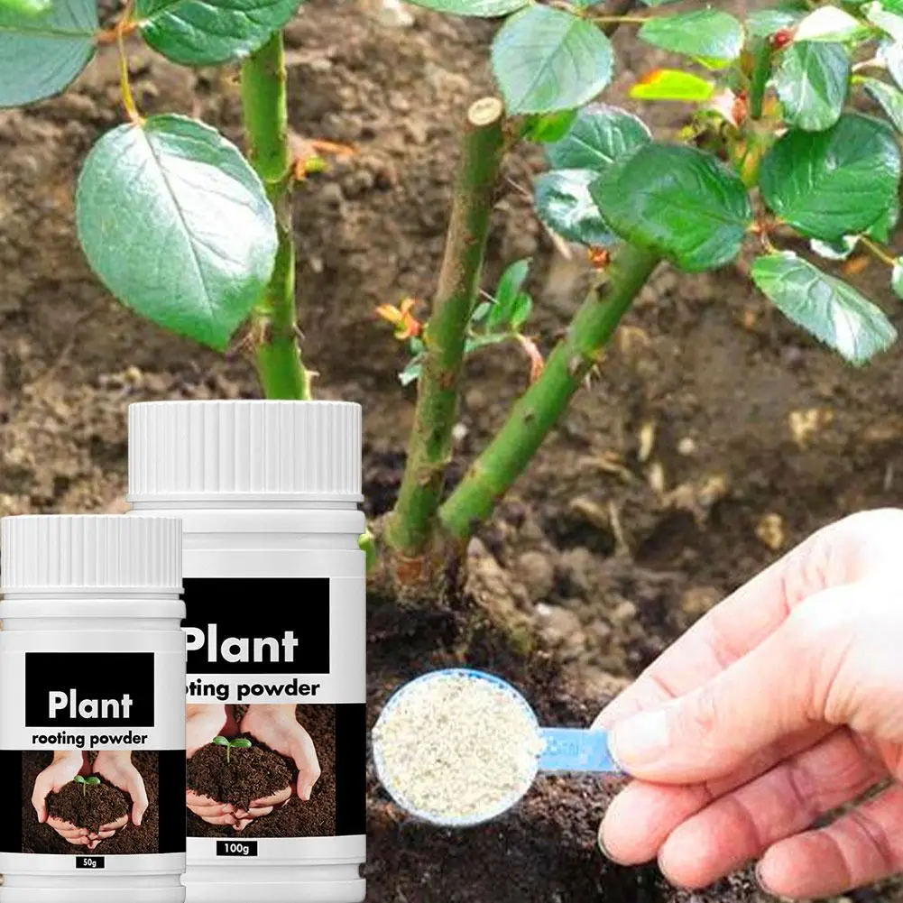 Polvo de Enraizamiento para Plantas 50/100g, Nutrición para Enraizamiento Rápido de Frutas y Flores, Nutrición Hidropónica para Jardín, Polvo para el Crecimiento de Raíces