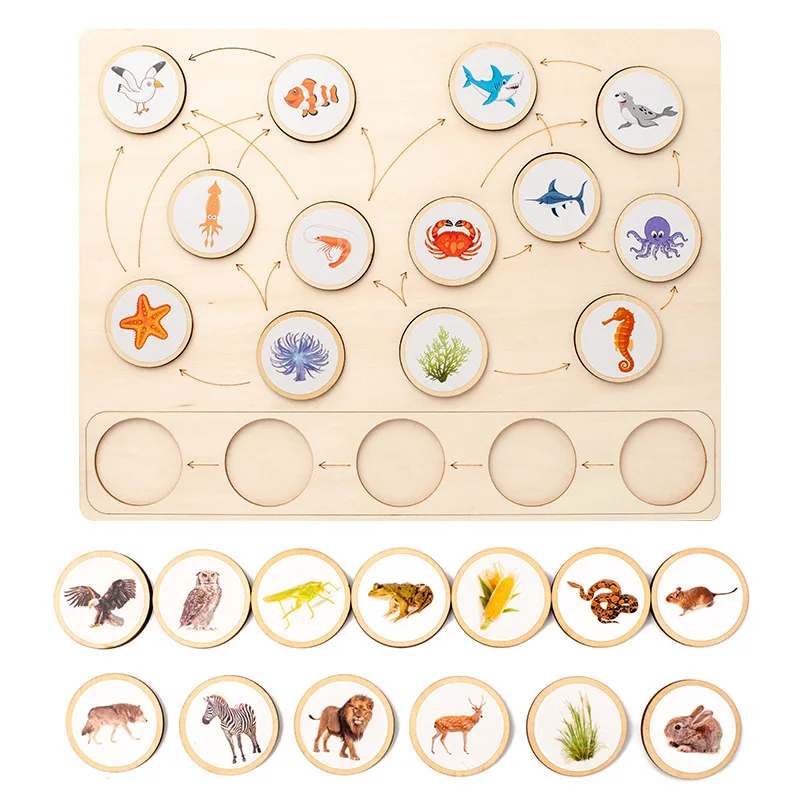 Animal Food Chain Montessori Educational Toys for Children STEM Biology Science Matching Board Parish Material Kids Learning Toy