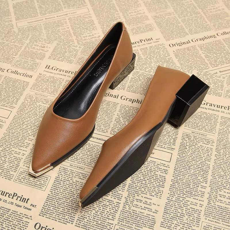 

Elegant Heeled Women's Shoes Pointed Toe Fashion Shallow Shoes 2025 Autumn Party Loafers Dress Shoes New Luxury Mujer Sandalias