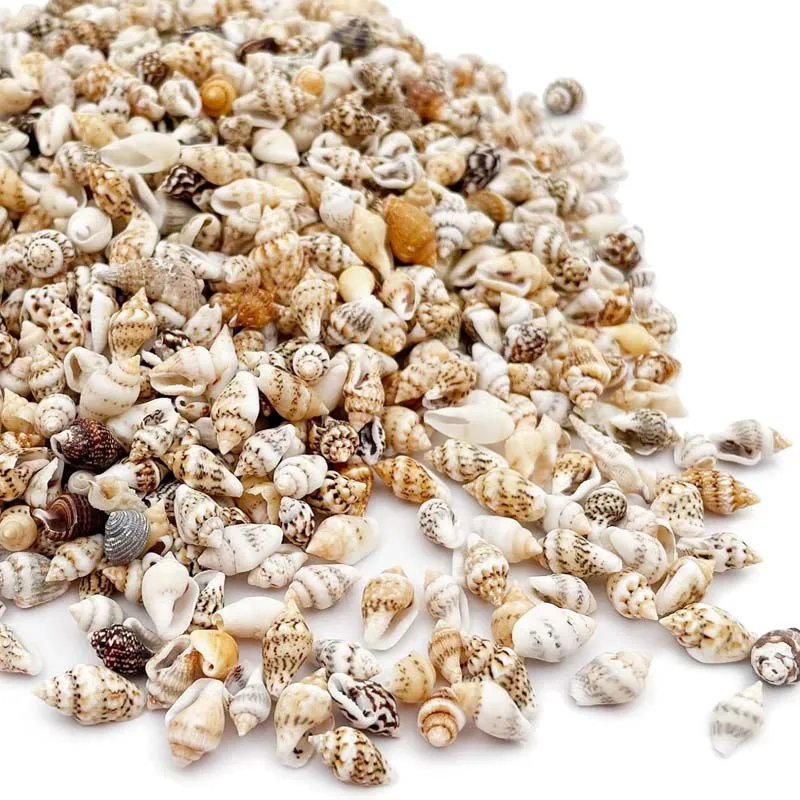 Tiny Sea Shells, Mixed 20g About 100pcs Ocean Beach Spiral Seashells Craft Charms for Home Decorations Candle Making, DIY Crafts