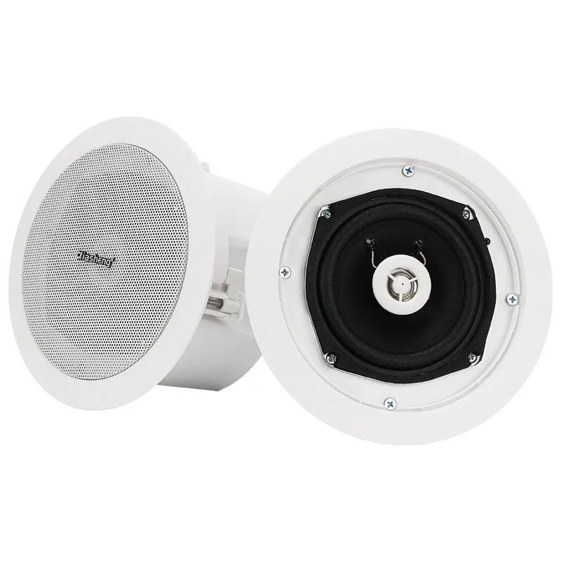 Haut-parleur de plafond sans fil, Bluetooth, caisson de basses intégré, système sonore pour Home cinéma dans le mur, installation facile, mot de passe, offre spéciale