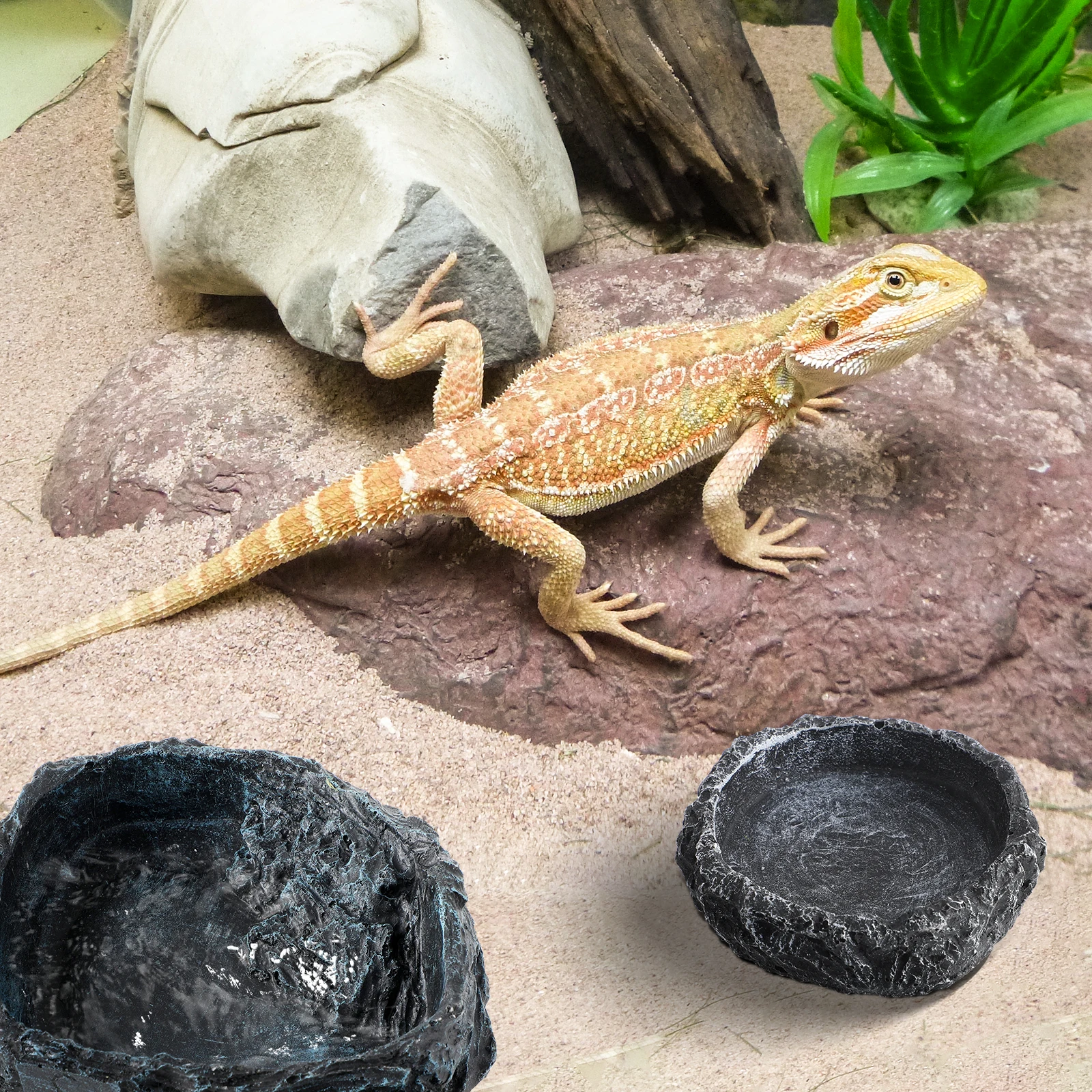 

2 pcs Animal Reptile Water Bowl Resin Bowls Small Resin Dishes Tortoise Water Bowls Feeders Containers Reptile Supplies Pet Toys