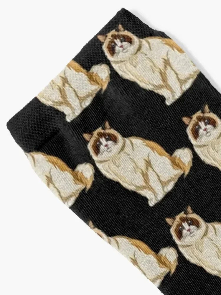 ragdoll cat tshirt Socks japanese fashion luxe Rugby gifts Socks For Women Men's