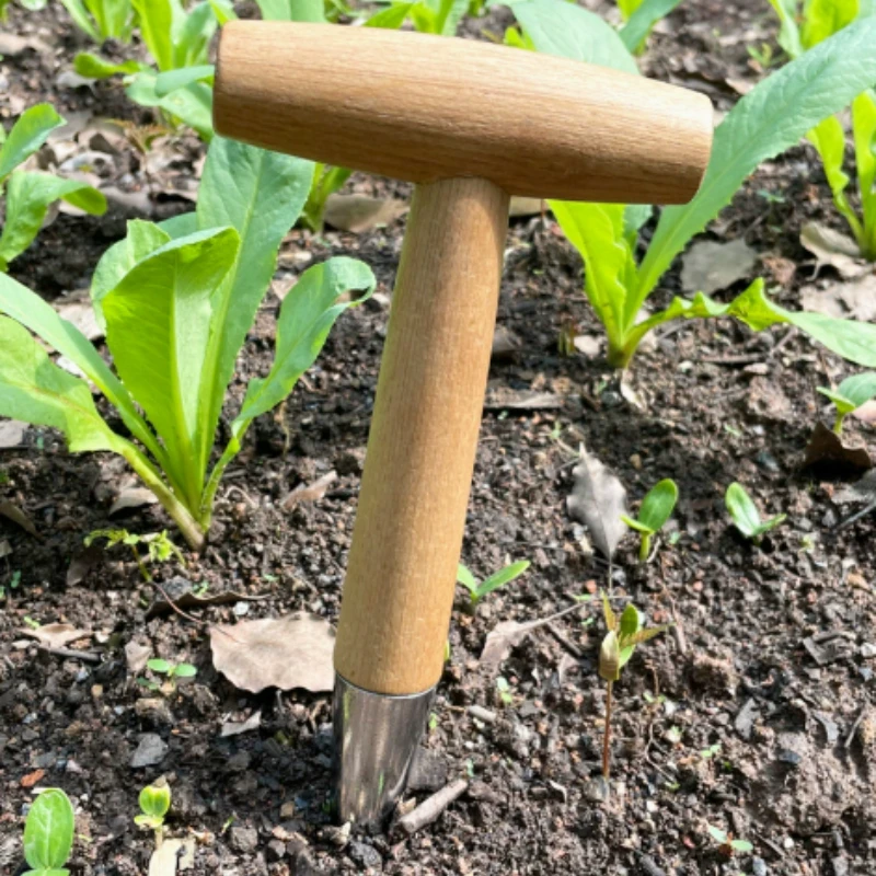 Flower plant seeder, horticultural transplanter vegetable planter multifunctional agricultural tool suitable for household use