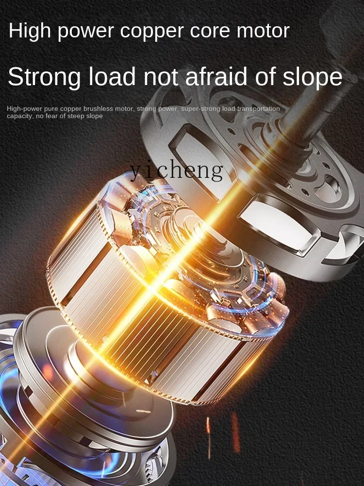 ssL178 23 Tqh Foldable Tricycle Pull Tile Pull Sand Feeding Storage Pull Goods Electric Handling Platform Trolley