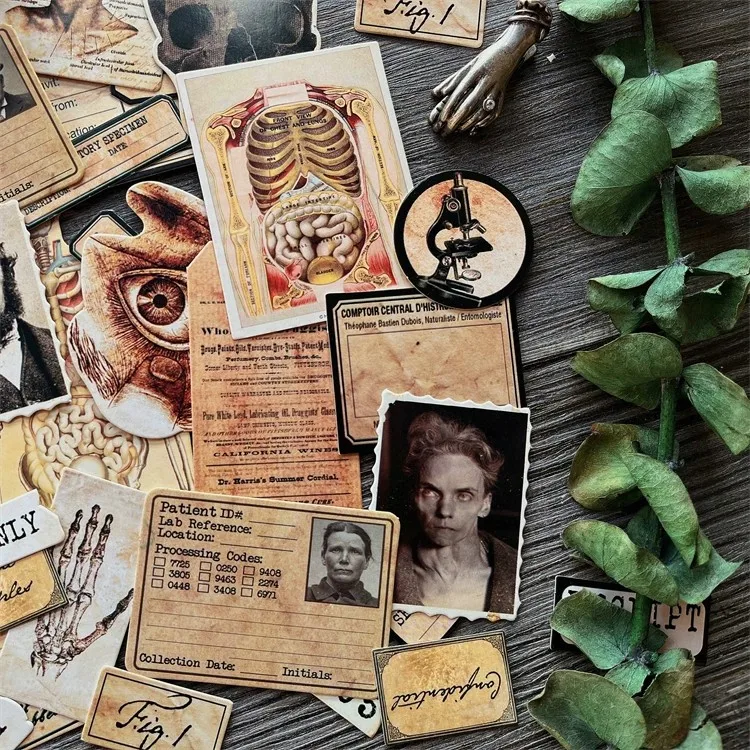 DIY Scrapbooking Vintage bebek malzeme kumaş anatomi korkunç önemsiz albüm dergisi mutlu planlayıcısı dekorasyon mukavva fotoğraflar