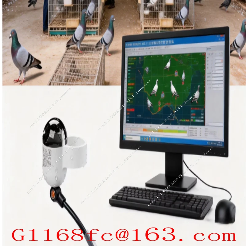 Mini Real-Time GPS  Locator Waterproof Pigeon Ring 4G Network GSM Android IOS Trajectory Locator Made Durable Plastic LBS