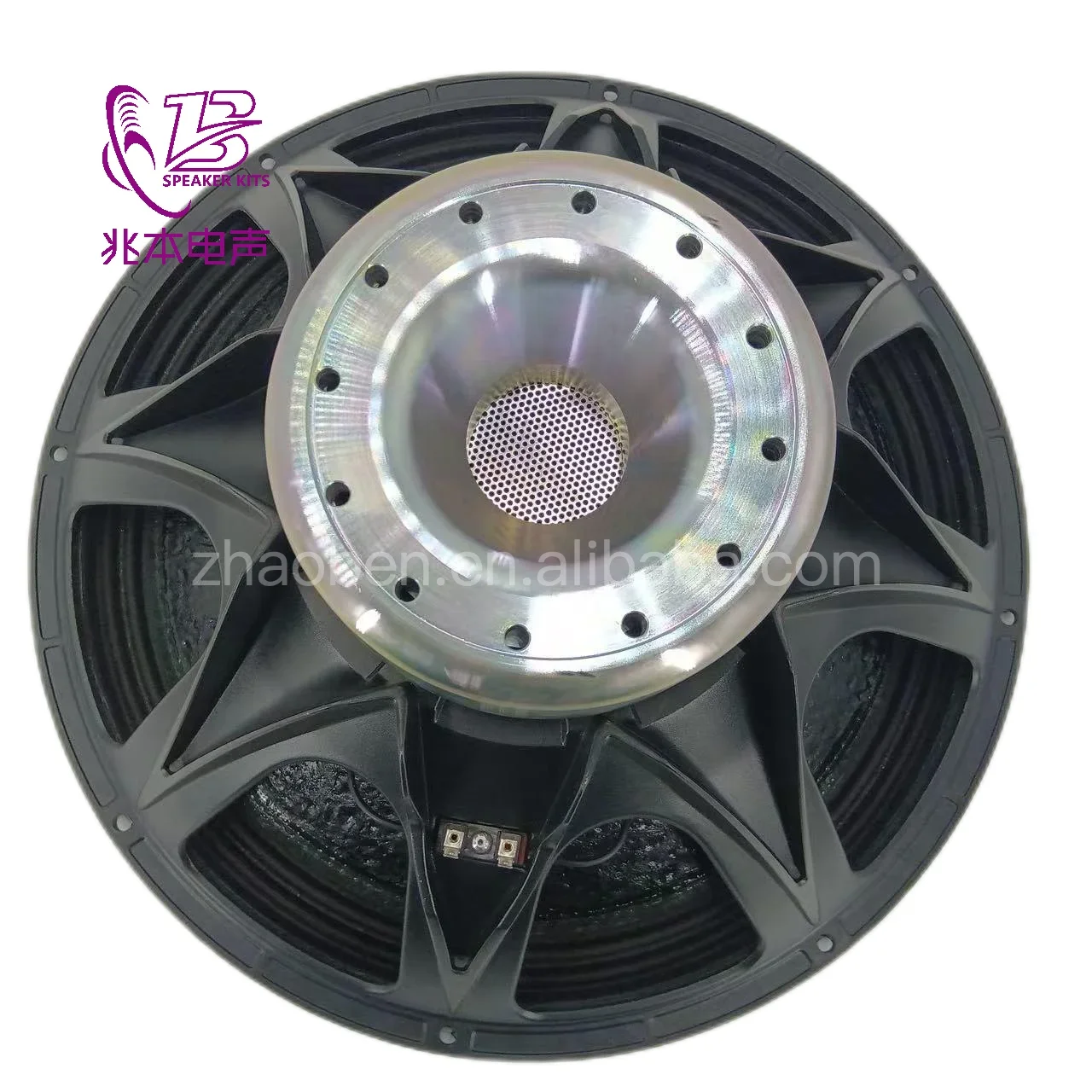 Hot Selling 21IPAL 1Ω 21 Inch Neodymium Woofer Speaker, 5000W 153mm 6 Inch Voice Coil Loudspeaker