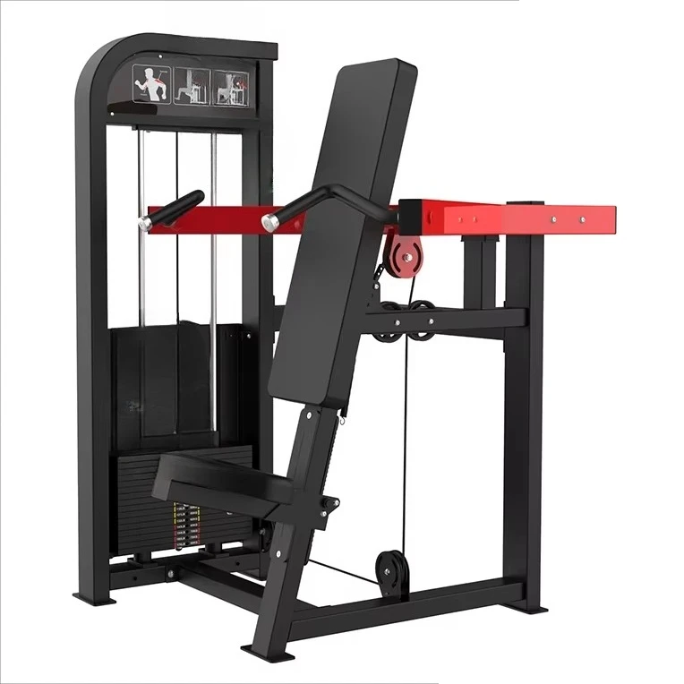 Home Iron Shoulder Press - Back and Bicep Exercises