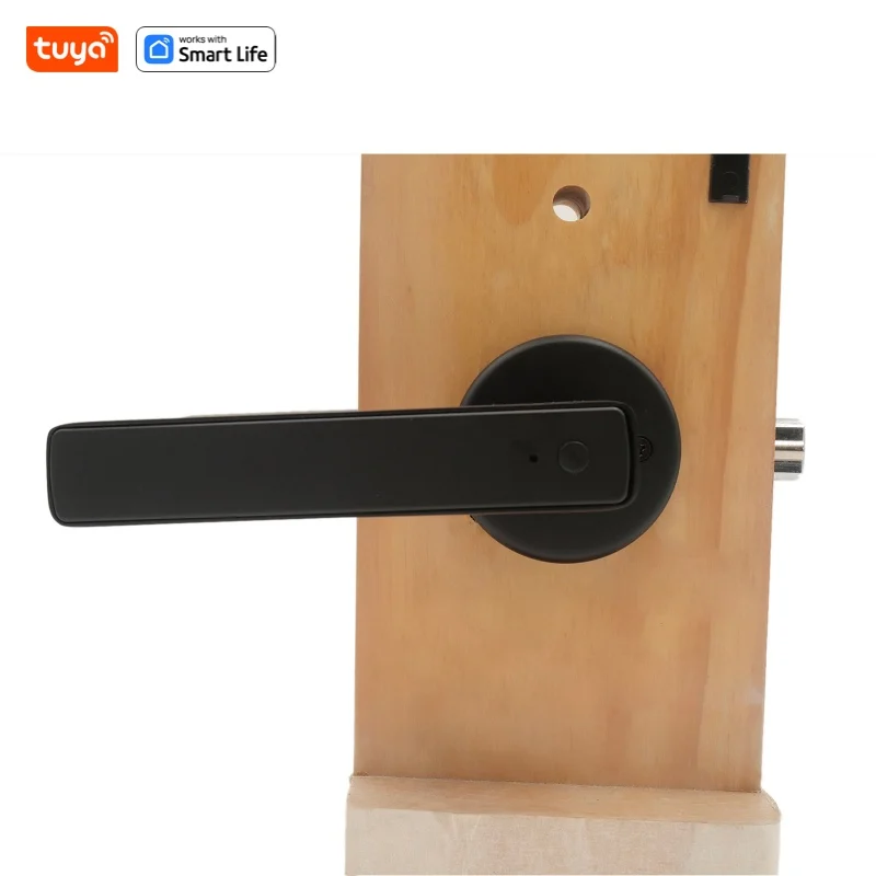 Tuya keyless entry door lock,Bluetooth short-range APP Control smart door handle - single row 5-in-1 fingerprint Door Lock