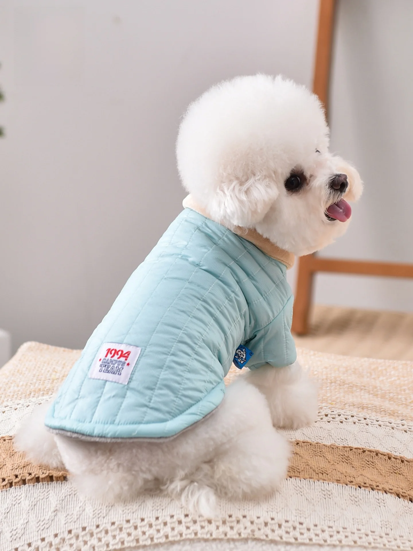 

Утепленная хлопковая зимняя куртка для собак средних и мелких пород: Тедди, Бишон, Корги. Теплая осенне-зимняя верхняя одежда для питомцев. Модная одежда для животных.