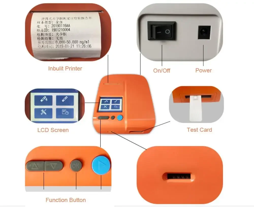 Portable veteriantry progesterone analyzer canine dog pregnancy test Machine