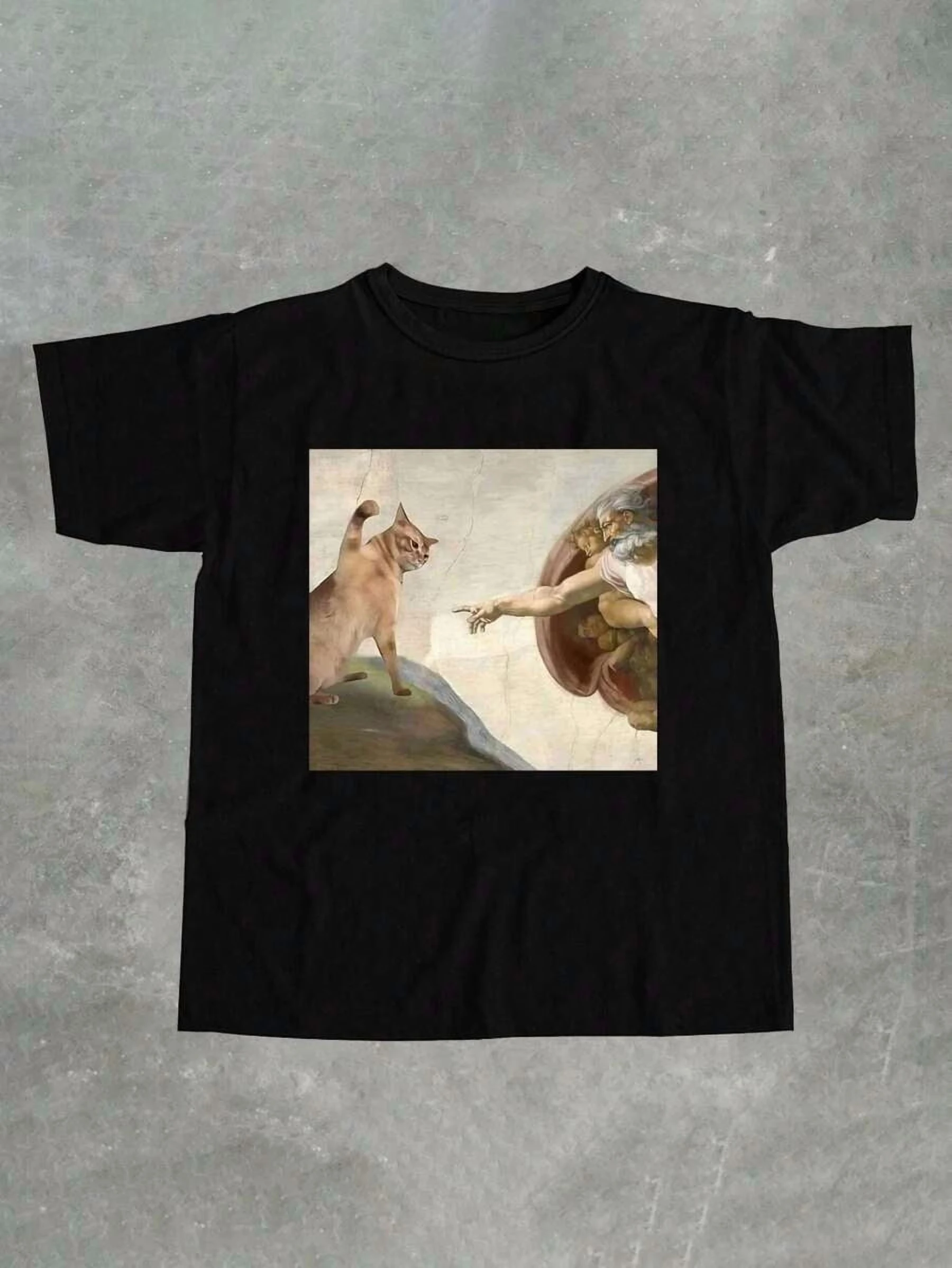 

Humorous Cat and Adam Creation Parody Graphic T-Shirt Casual Crew Neck Tee Fit Short Sleeve for Adult Summer Casual Fashion Top