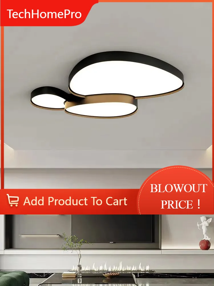 TechHPModern LED Nordic Simple Ceiling Light, Black And White Lamp For Bedroom