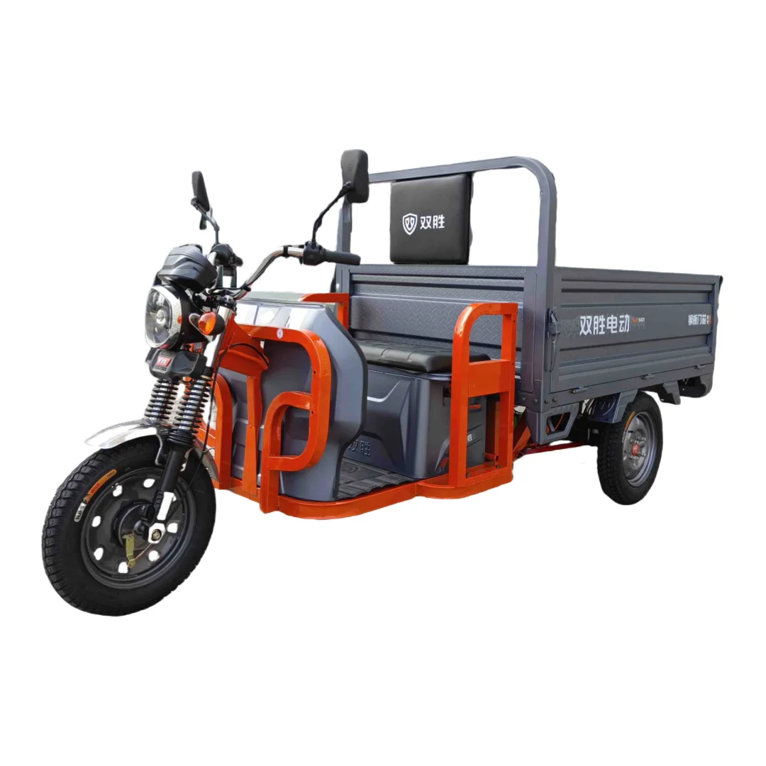 

Manufacturers Selling Three Wheeler Electric Adult Tricycle Transport Building Materials Cargo Tricycle