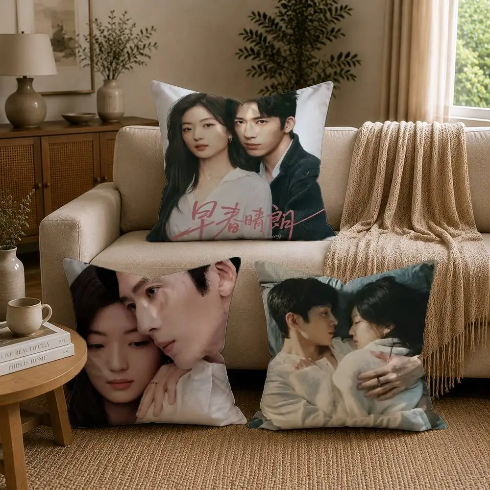 Chinese TV The Early Spring Sun Qian Jing Boran Pillow Case Cushion Cover Throw Pillow Case For Car Sofa