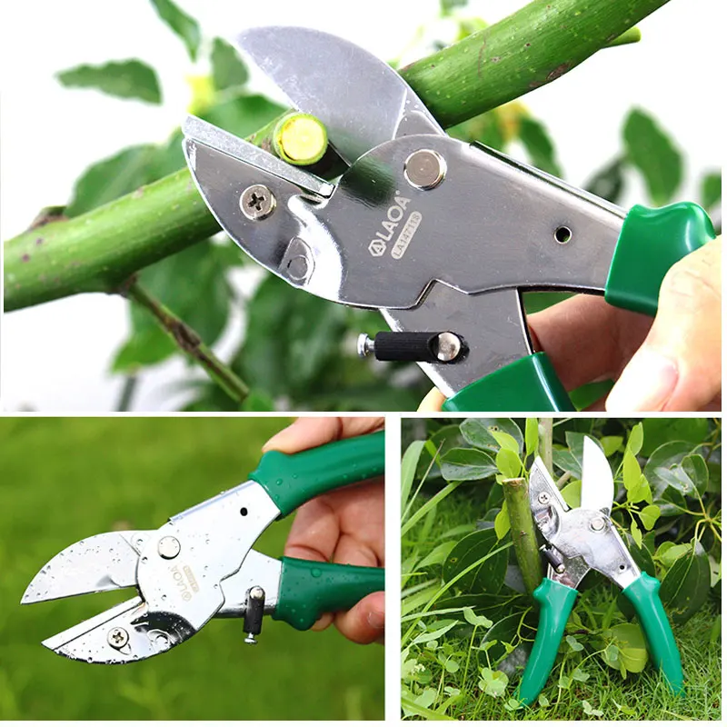 LAOA SK5 Garden Pruning Shears Orchard Plant Branch Trim Horticulture Pruner Cutting Shrub Scissors Tool Bonsai Floral Secateurs