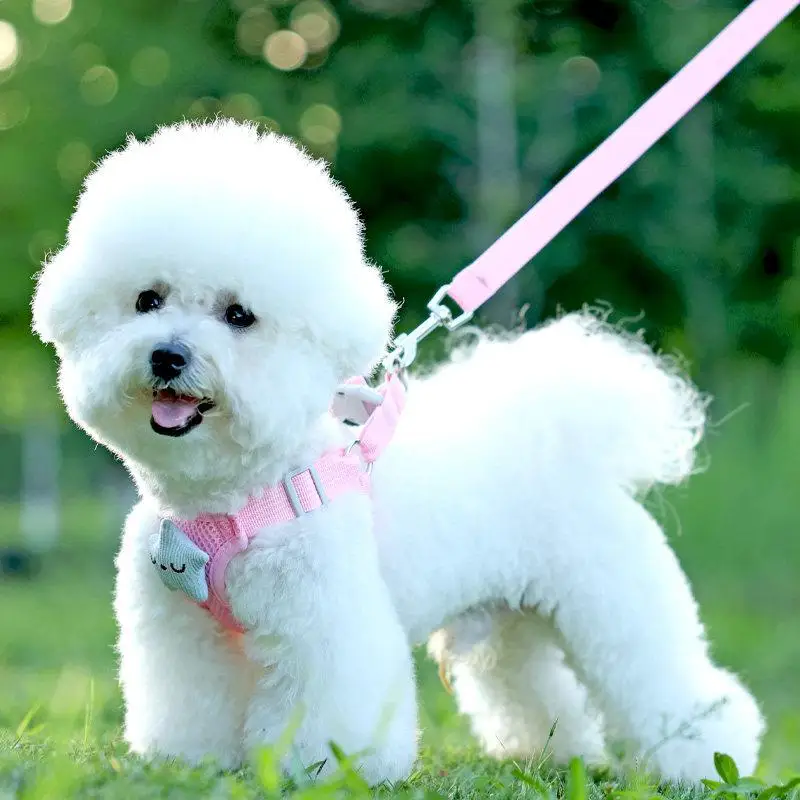 Adjustable Dog Leash Vest Style Breathable Mesh for Small Dogs Teddy Bichon Pomeranian Puppy Chest Wrap Baby Carrier view 5