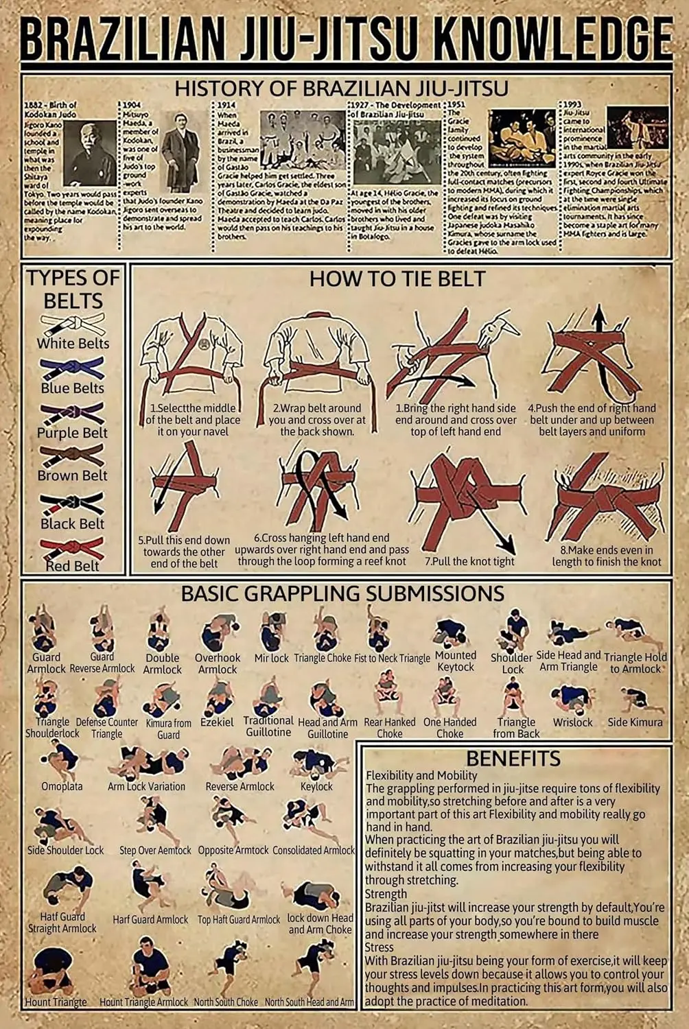 Panneau métallique de connaissances en Jiu-Jitsu Brésilien, tableau de la technique de nouage de ceinture, affiche murale décorative pour ferme, école, bureau, salle de sport, ou cave.