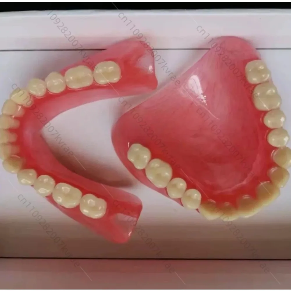 wholesale-full-mouth-denture-sample-models-and-full-mouth-half-mouth-tooth-models-available-movable-removable-dentures