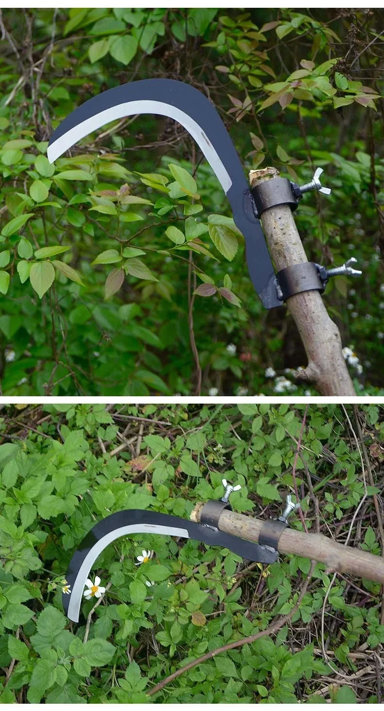 

Long Pole Lopping Scissors for Agricultural High Altitude Betel Nut Knife Grass Cutting Leaf Shaped Weed Removal Tool