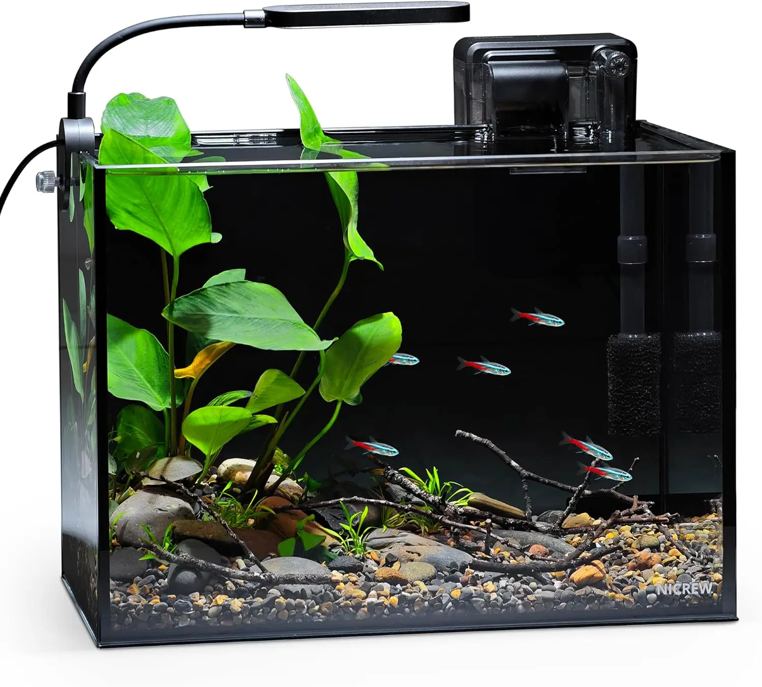 

2.5 Gallon Nano Nature Aquarium Kit, Ultra-Clear Rimless Desktop Fish Tank with Light, Filter, Gravel and Rock