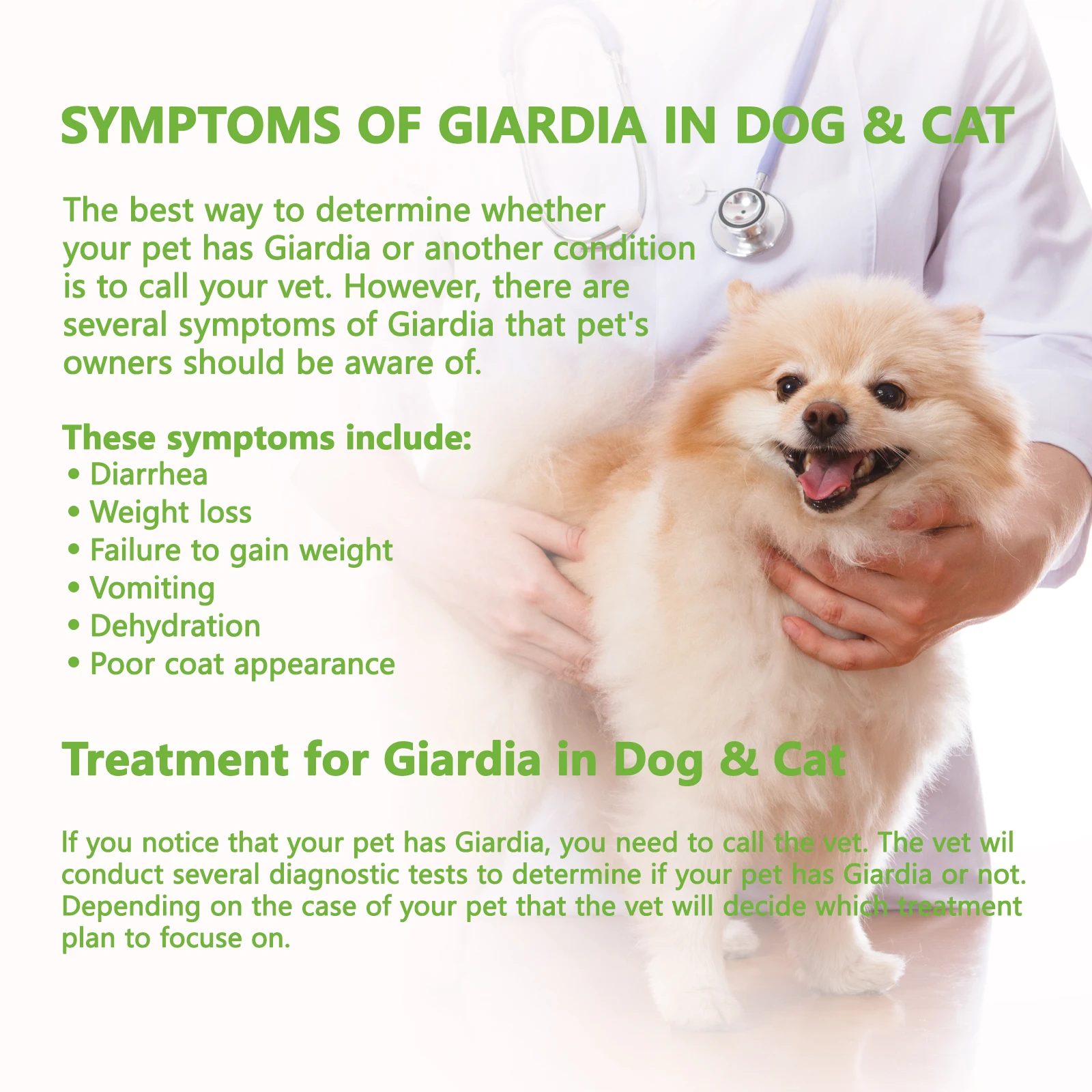 5 Pcs GIA - Canine & Feline GIARDIA Rapid Home Health Test Kit for Dogs & Cats