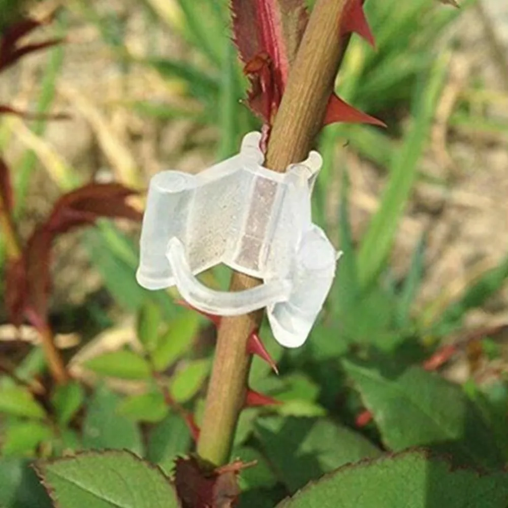 100pcs New Special Grafting Clips Plastic Reusable Grafting Clamps Bundled Grafting Fixing Tools Tomato