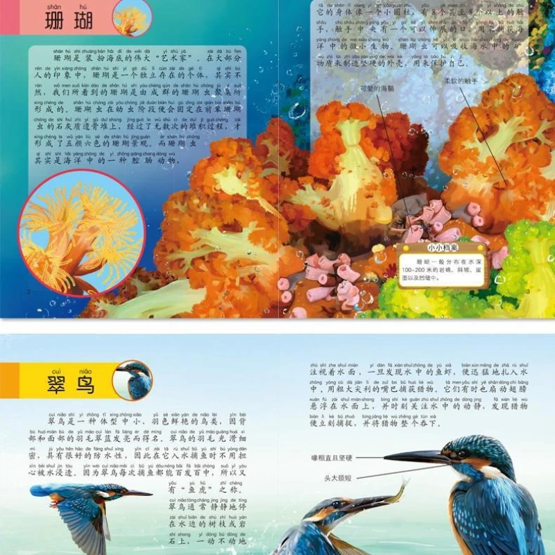 القراءة اللامنهجية: سلسلة تعميم علوم الأطفال موسوعة الحيوانات 10 كتب للأطفال