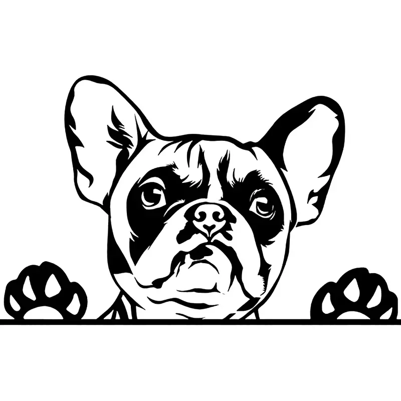 

Car sticker vinyl decal French bulldog motorcycle decoration accessories creative PVC waterproof sunscreen 20CM