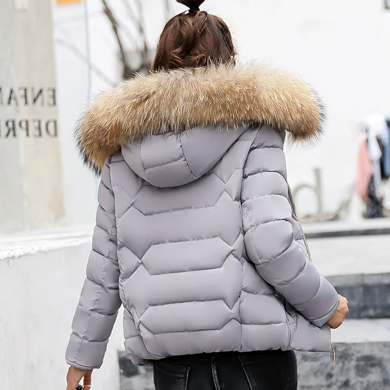 Female Coat Autumn With Fur Collar Hooded Cotton Padded Winter Jacket Women Short Outwear Basic Jacket