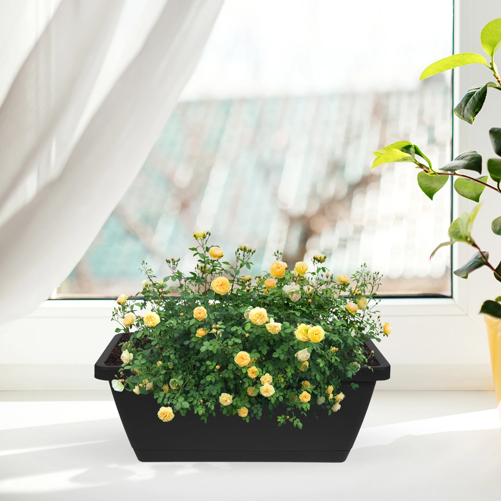 

4pcs Black Small Rectangular Plastic Flower Pots with Trays Outdoor Bonsai Cactus Succulent Planter Boxes Durable Reusable