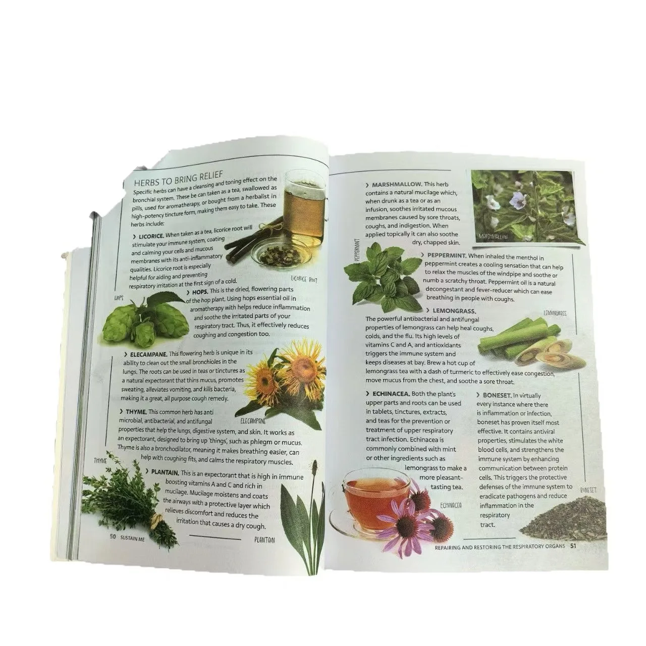 2-Pack Natural Remedies Books: Sustain Me and The Holistic Home Apothecary description 5
