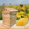 Golden Automatic Hive 2 Beehive 7-teiliger Box Flows-Rahmen 3