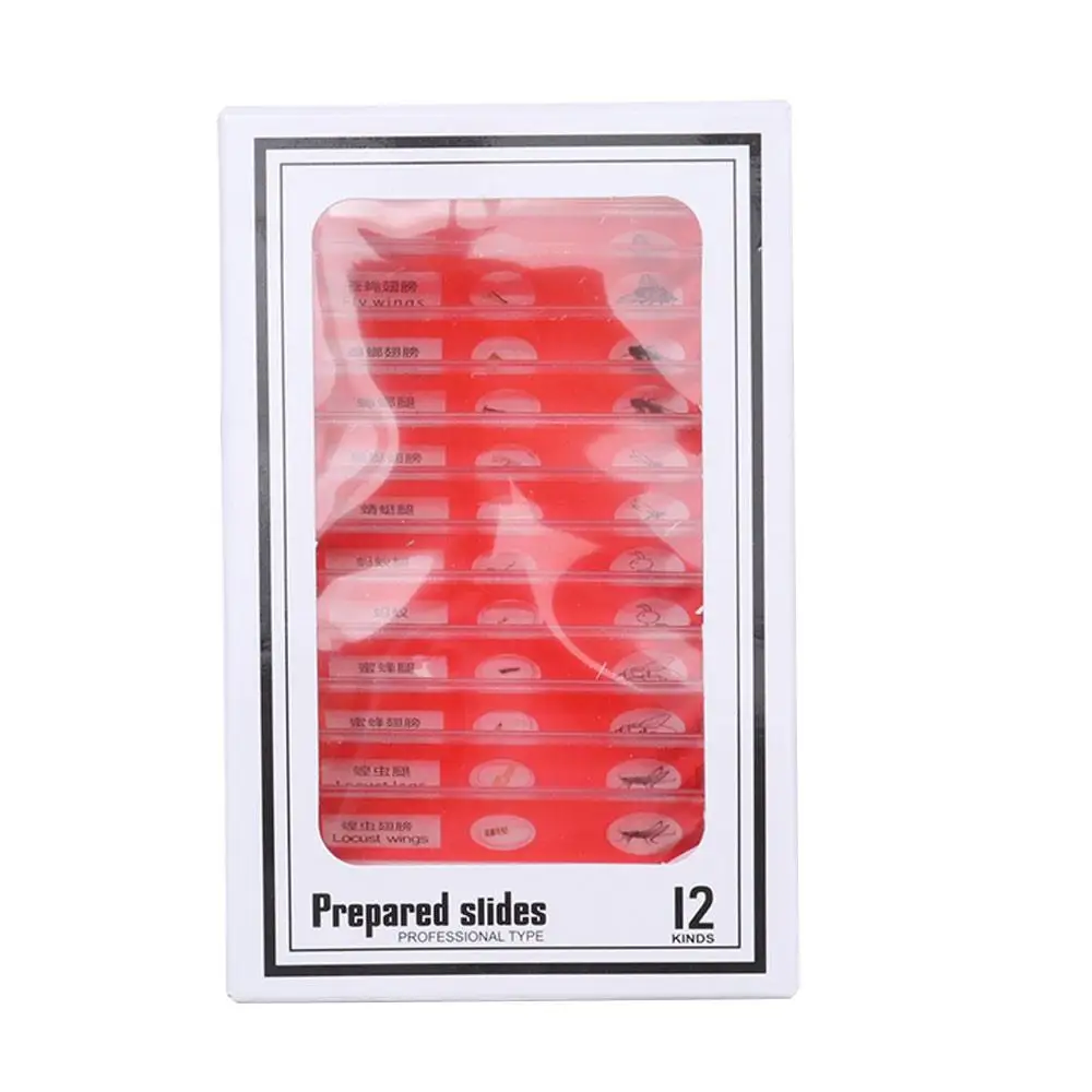 Plastic Microscope Slides Animals Insects Plants Flowers Sample Specimens Microscope Sample Prepared Slides Multicolor