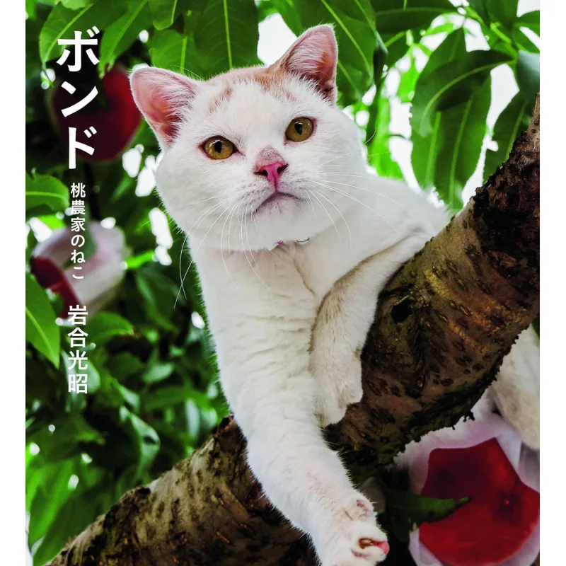 

Bond Peach Farmers Cat Mitsuaki Iwai Clevis 9784911003176 Книга