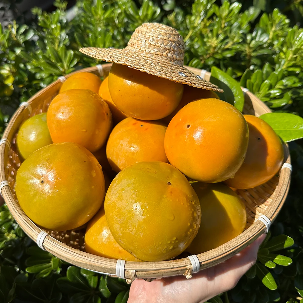 البرسيمون الطازج المحلي بعمر 25 عامًا، 3 كجم