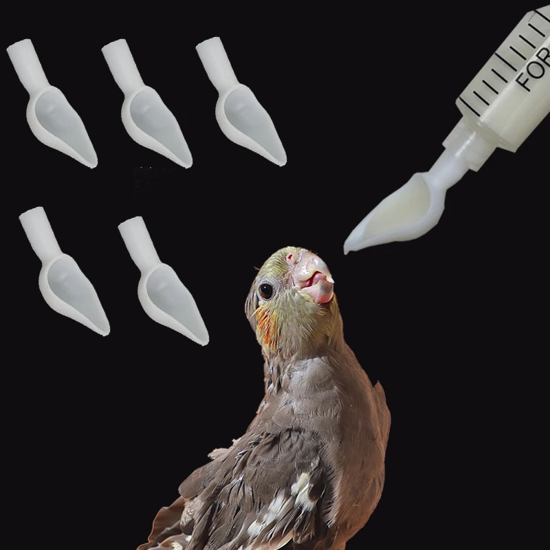 Bird Parrot Feeder Spoon Baby Bird Milk Medicine Feeding Tools Baby Bird Feeding Spoon Bird Supplies