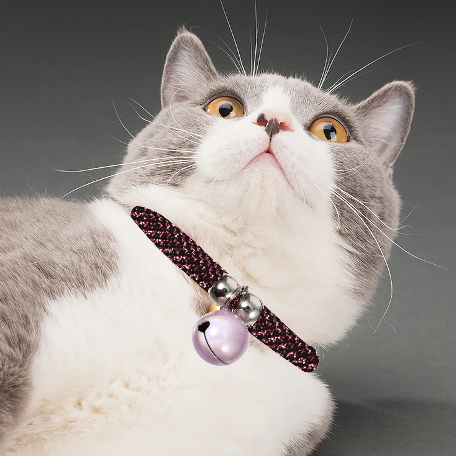 

2pcs Kitten Cat Collar Collars Small Metal Bells for Cats Pet Collar Dogs Holiday Birthday Stylish Accessories