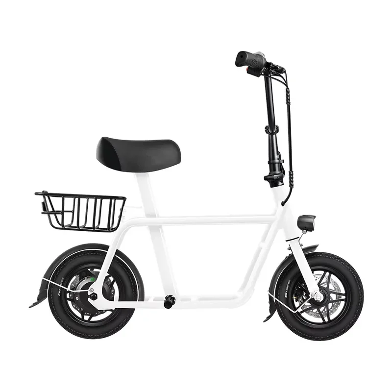 Q1 Foldable Electric Scooter 12 Inch 250W Motor 36V 10.4Ah Battery 25kmh Max Speed Rear Drive Portable E Scooter for Adults