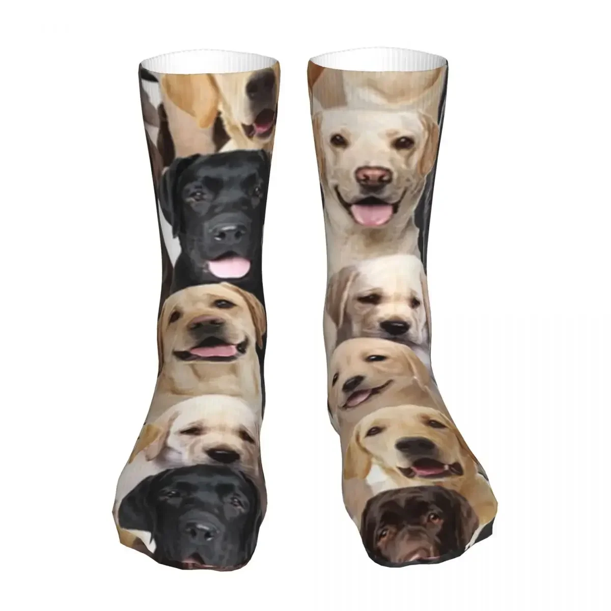 Labrador Cute Dog Socks Men Women Polyester Fashion Merry Christmas  Novelty Spring Summer Autumn Winter  Gift