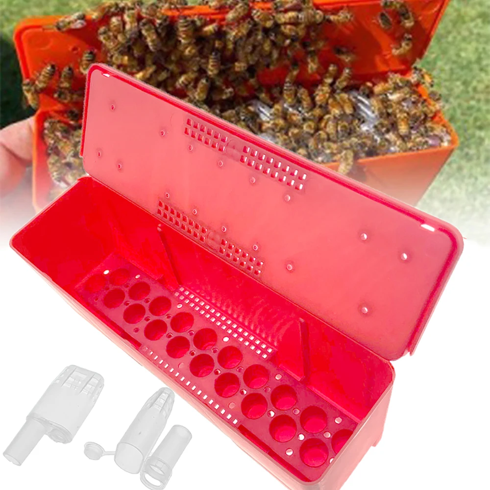 

JZBZ Queen Travelling Shipping Battery Box Protection Cages Carrier Mailing Post Move Plastic Container Rearing Beekeeping Tool